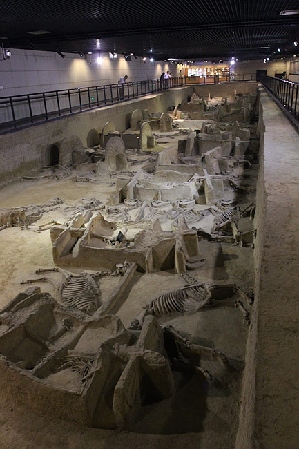 Лоян, Музей Императорских Повозок (Luoyang, Museum of Luoyang Eastern Zhou Royal Horse and Chariot Pits)