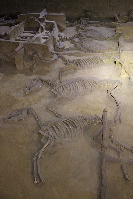 Лоян, Музей Императорских Повозок (Luoyang, Museum of Luoyang Eastern Zhou Royal Horse and Chariot Pits)