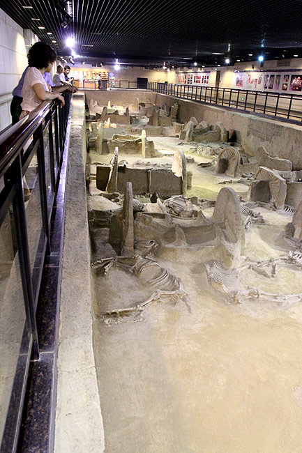 Лоян, Музей Императорских Повозок (Luoyang, Museum of Luoyang Eastern Zhou Royal Horse and Chariot Pits)