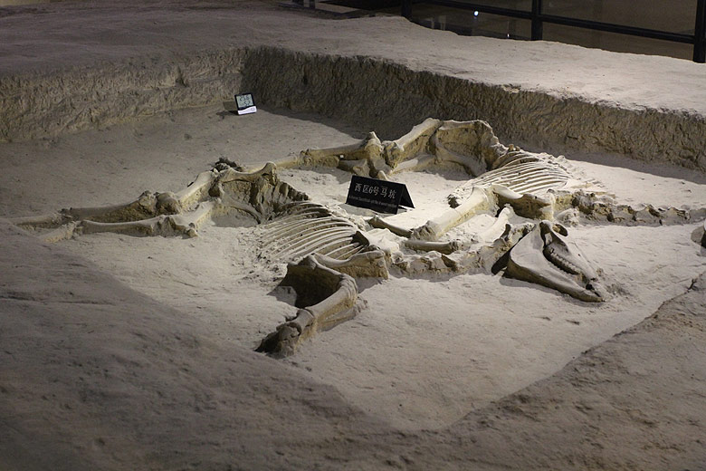 Лоян, Музей Императорских Повозок (Luoyang, Museum of Luoyang Eastern Zhou Royal Horse and Chariot Pits)