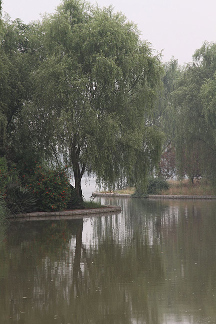 Лоян, Лоянский Ботанический Сад (Luoyang, Luoyang Botanical Garden)