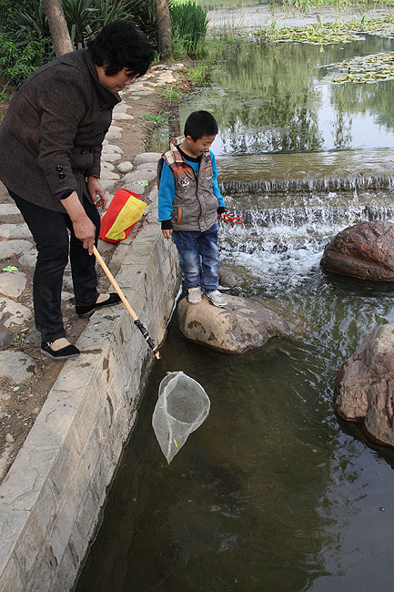 Лоян, Лоянский Ботанический Сад (Luoyang, Luoyang Botanical Garden)