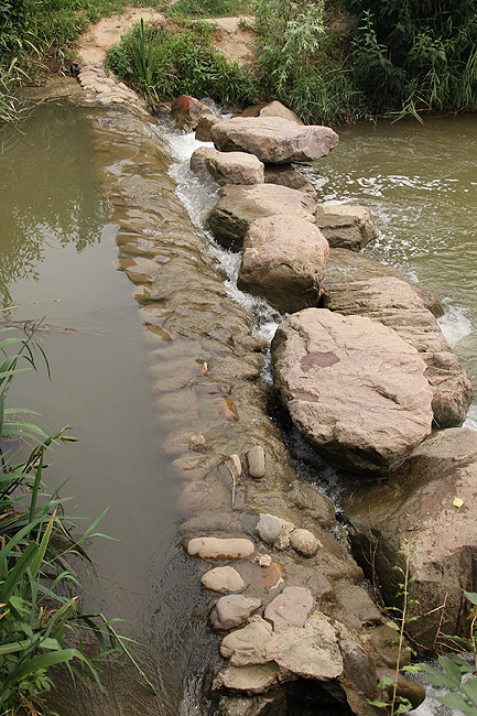 Лоян, Лоянский Ботанический Сад (Luoyang, Luoyang Botanical Garden)