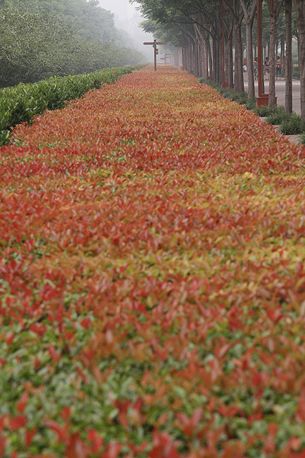 Лоян, Лоянский Ботанический Сад (Luoyang, Luoyang Botanical Garden)