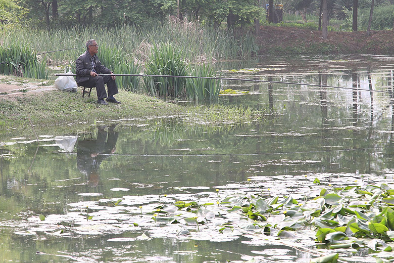 Лоян, Лоянский Ботанический Сад (Luoyang, Luoyang Botanical Garden)