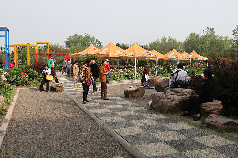 Лоян, Лоянский Ботанический Сад (Luoyang, Luoyang Botanical Garden)