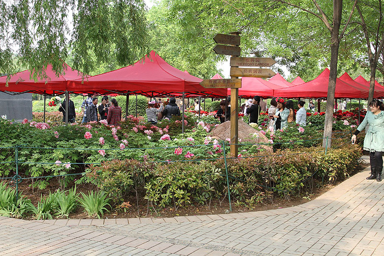 Лоян, Лоянский Ботанический Сад (Luoyang, Luoyang Botanical Garden)