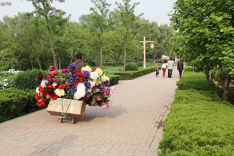 Лоян, Лоянский Ботанический Сад (Luoyang, Luoyang Botanical Garden)