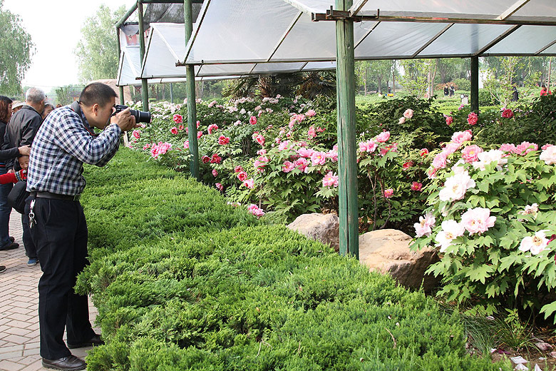 Лоян, Лоянский Ботанический Сад (Luoyang, Luoyang Botanical Garden)