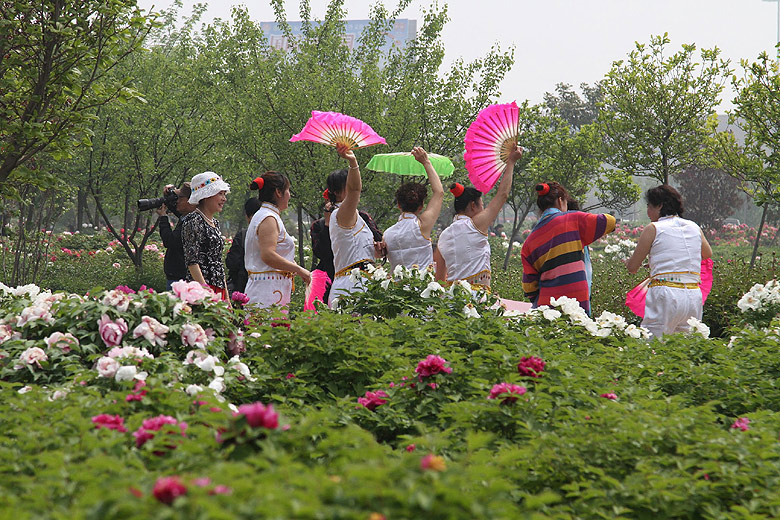 Лоян, Лоянский Международный Сад Пионов (Luoyang, Luoyang International Peony Garden)