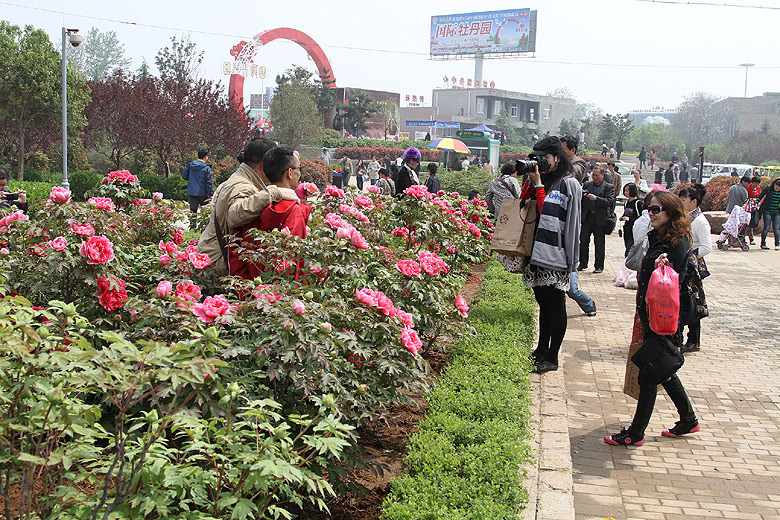 Лоян, Лоянский Международный Сад Пионов (Luoyang, Luoyang International Peony Garden)