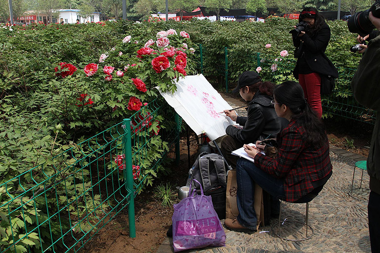 Лоян, Лоянский Международный Сад Пионов (Luoyang, Luoyang International Peony Garden)