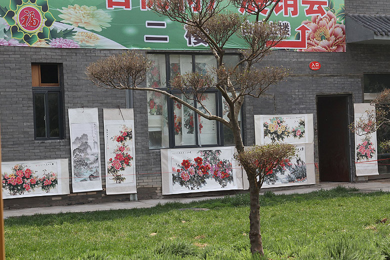 Лоян, Национальный Сад Пионов (Luoyang, Luoyang National Peony Garden)