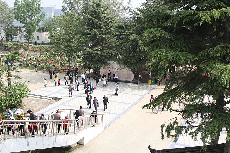 Лоян, Национальный Сад Пионов (Luoyang, Luoyang National Peony Garden)