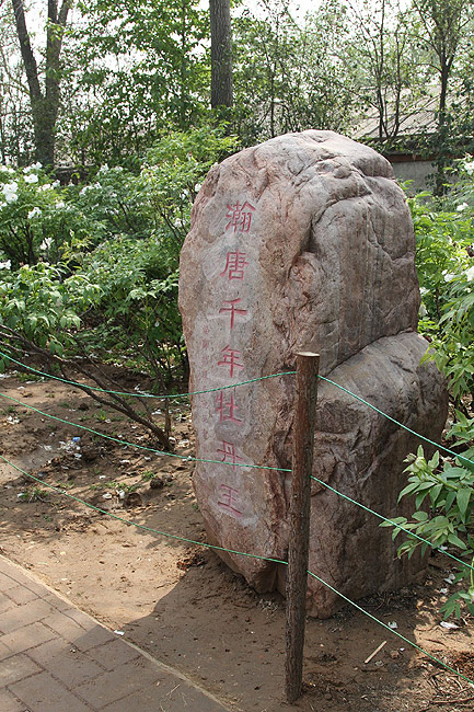 Лоян, Национальный Сад Пионов (Luoyang, Luoyang National Peony Garden)