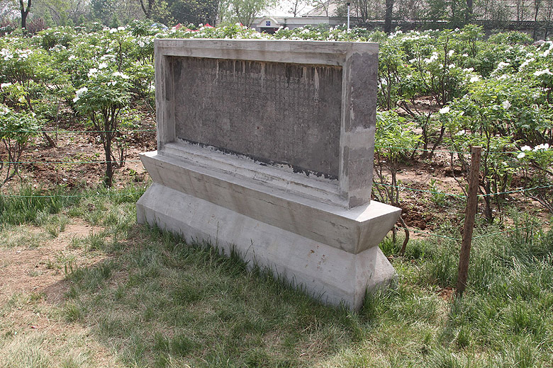 Лоян, Национальный Сад Пионов (Luoyang, Luoyang National Peony Garden)