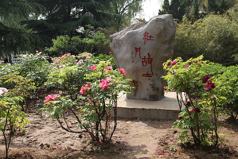 Лоян, Национальный Сад Пионов, Памятник Родине Пионов (Luoyang, Luoyang National Peony Garden, Monument to the Motherland of Peonies)