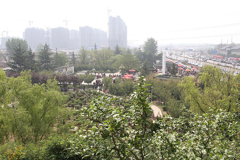 Лоян, Национальный Сад Пионов (Luoyang, Luoyang National Peony Garden)