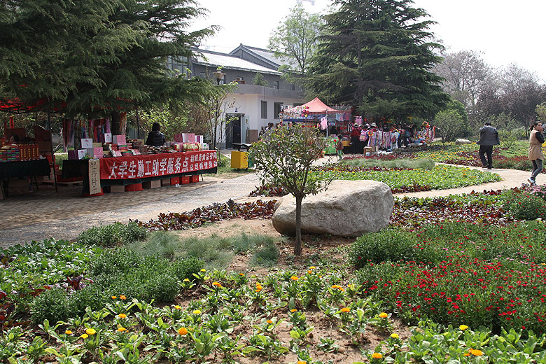 Лоян, Национальный Сад Пионов (Luoyang, Luoyang National Peony Garden)