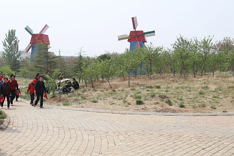Лоян, Лоянский Сад Тюльпанов и Пионов (Luoyang, Tulip and Peony Garden)