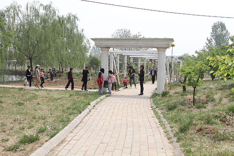 Лоян, Лоянский Сад Тюльпанов и Пионов (Luoyang, Tulip and Peony Garden)