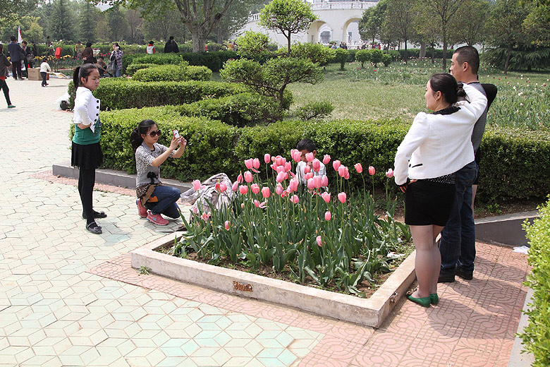 Лоян, Лоянский Сад Тюльпанов и Пионов (Luoyang, Tulip and Peony Garden)