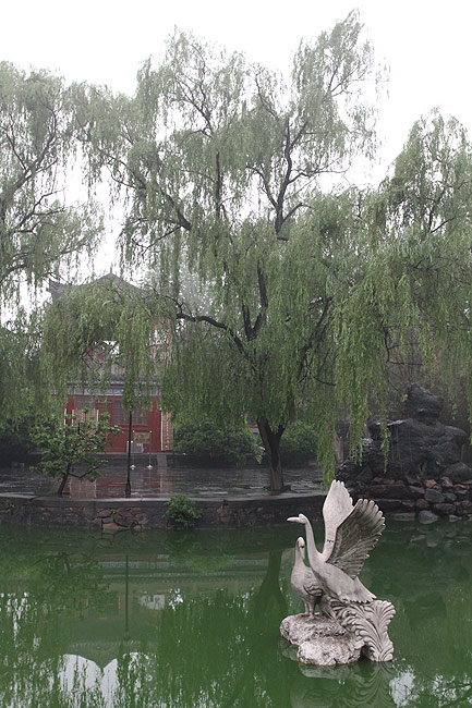 Лоян, Храм Белой Лошади, Озеро по дороге к Пагоде Циюнь (Luoyang, White Horse Temple, Lake on the way to Qiyunta Pagoda)