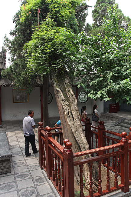 Лоян, Храм Белой Лошади, Двор Зала Пилу (Luoyang, White Horse Temple, Pilu Hall Courtyard)