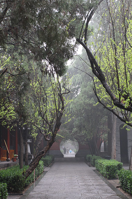 Лоян, Храм Белой Лошади, Дорожки в храме (Luoyang, White Horse Temple, Paths in the temple)