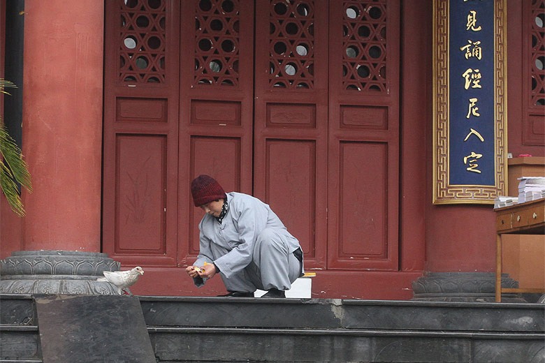Лоян, Храм Белой Лошади, Зал по дороге к Пагоде Циюнь (Luoyang, White Horse Temple, Hall on the way to the Qiyun Pagoda)